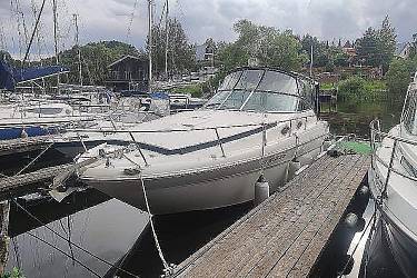 Катер Sea Ray 315 Sundancer